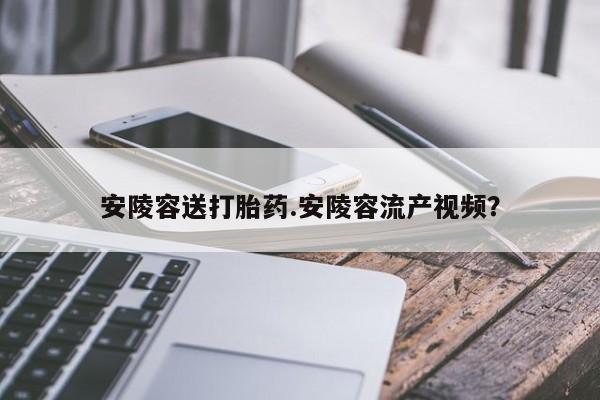 堕胎药货到付款安陵容送打胎药.安陵容流产视频？