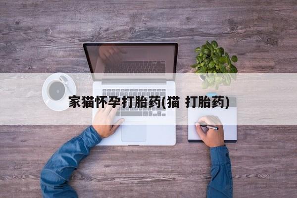 堕胎药货到付款家猫怀孕打胎药(猫 打胎药)